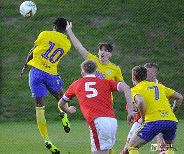 汉诺威遭遇主场失利，未能保持连胜